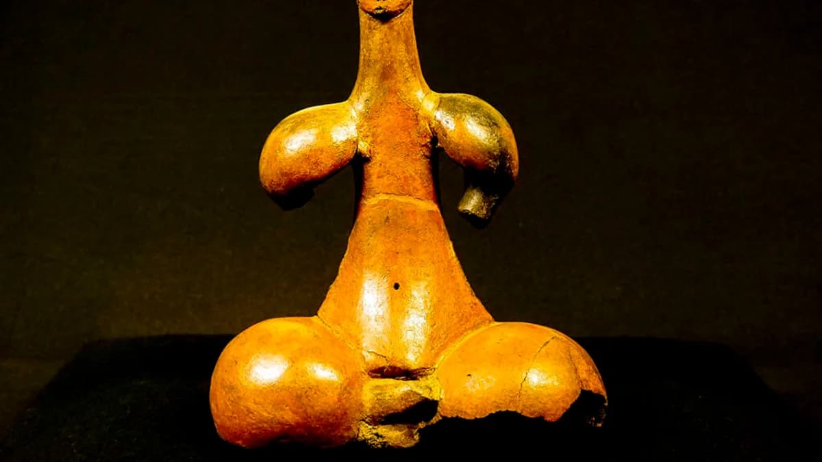 El papel de la mujer canaria, desde lo doméstico a lo público