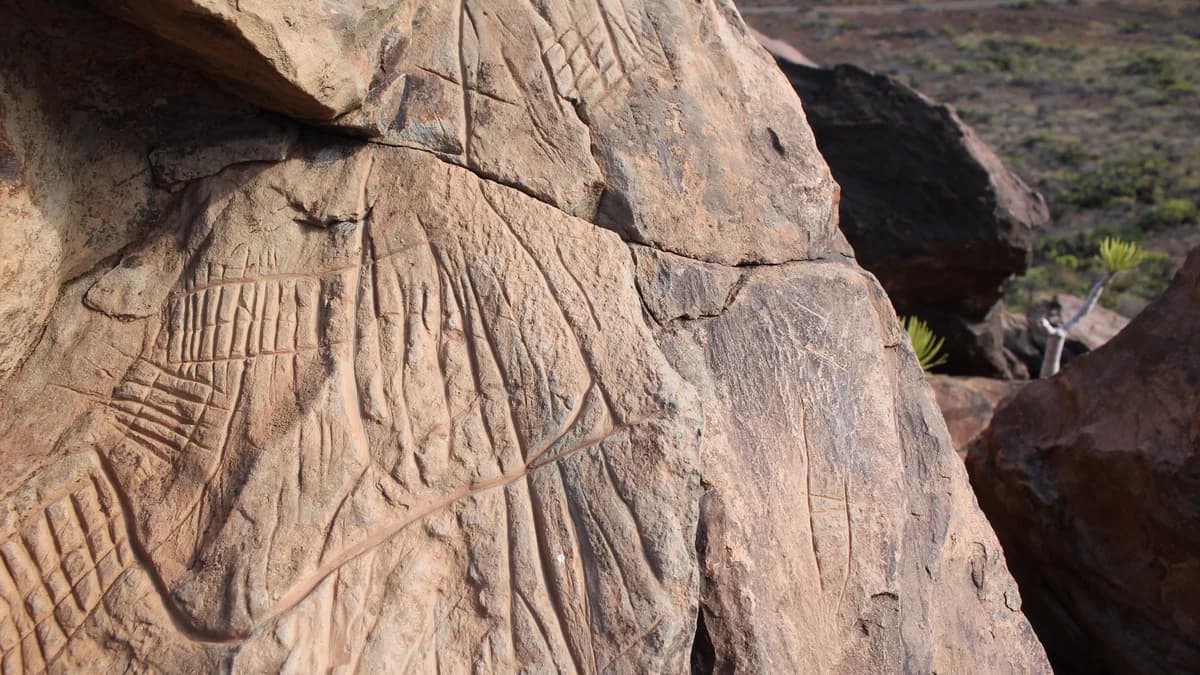 La vida de los mahos